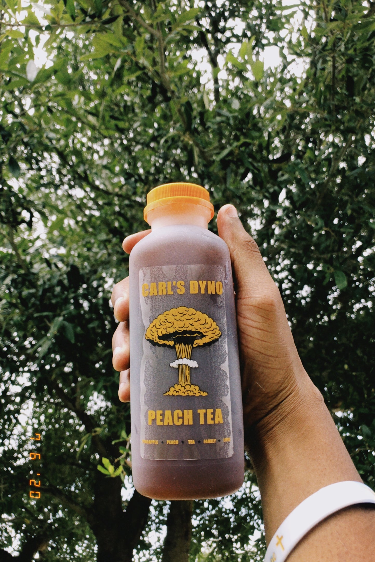 Carl's Dyno Peach Tea (Individual )